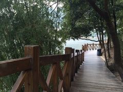 -广州市流溪河国家森林公园