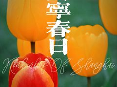 -大宁公园