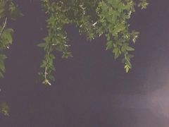 -咸宁万豪温泉谷度假区