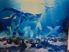 -英皇电影城(英皇集团中心IMAX店)