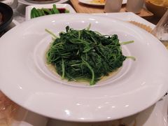 -锦江都城闵行饭店