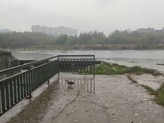 -前关湿地公园