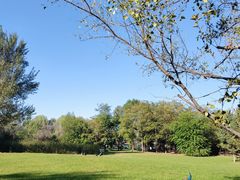 -沈阳鸟岛