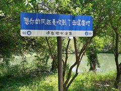 -西溪国家湿地公园