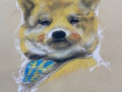 -八哥美术·成人美术画室(总校区)