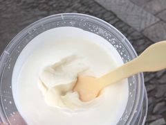 -苏妃奶酪(平江路店)