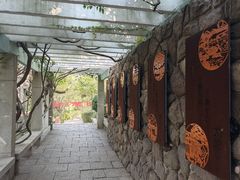 -观象山公园