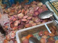 -和源祥·日照菜扛把子(万平口一店)