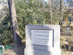 -元大都城垣遗址公园