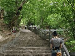 -皇藏峪国家森林公园