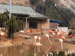 -大连老虎滩海洋公园