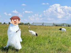 -盐城丹顶鹤湿地生态旅游区