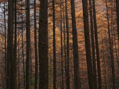-洛阳白云山景区
