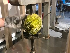 -都念榴莲·城市榴莲