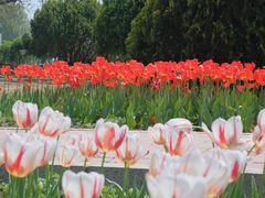 -石家庄市植物园