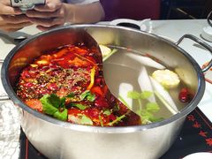 -潮牛禾记•潮汕鲜牛肉火锅(新亚洲店)
