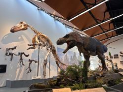 -禧园Joyous Garden ·宴会厅(禧园店)