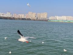 -蠡湖大桥公园