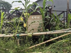 -水峪民俗村