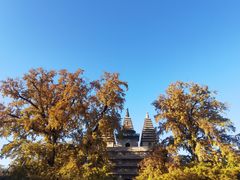 -北京石刻艺术博物馆(五塔寺)