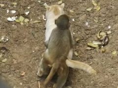 -昆明动物园