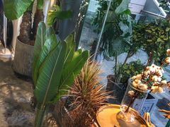 -植物学家的女儿(北马道巷店)