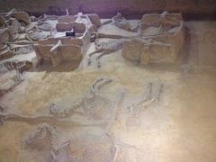 iphone_upload_pic-洛阳周王城天子驾六博物馆