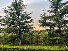 -春晖园度假酒店温泉