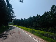 -帽儿山国家森林公园