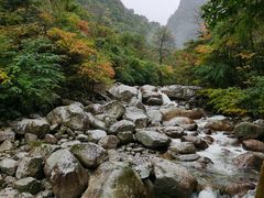 -青峰峡国家森林公园