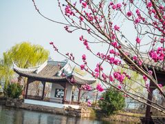 -无锡蠡湖国家湿地公园-蠡园