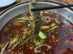 -邱氏胖泥鳅(大堰店)