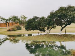 -夏河溪乡野公园