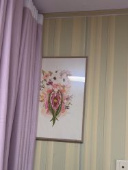 -安徽合肥韩美整形外科医院