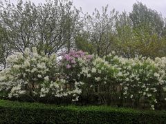-哈尔滨师范大学(松北校区)