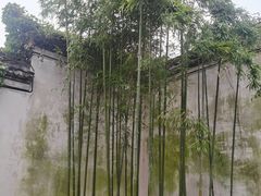 -王阳明故居