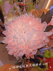 -Oasis Beauty水磨坊科技美肤中心