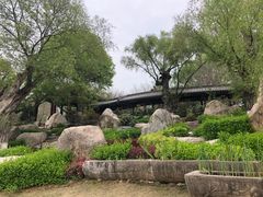 -中国唐苑