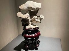 -觀芷隐轩