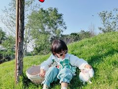 -丁香湖公园