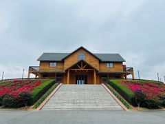 -露天矿生态公园