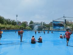 -郑州方特水上乐园