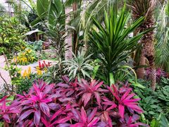 -北京植物园-展览温室