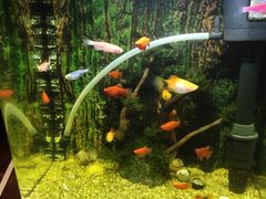 -若石足道SPA 连锁(丹东街店)