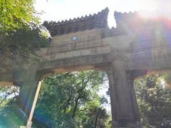 -灵谷景区