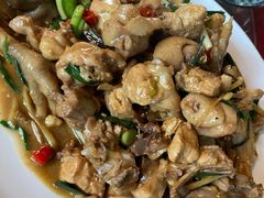 现杀果园鸡—黄焖鸡-生态苑农庄(十里画廊遇龙河店)