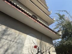 -生宇山珍野生菌汤锅•始于2002(双流古塔店)