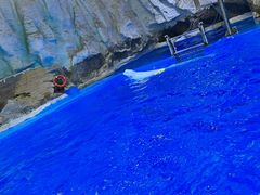 -海合安青岛极地海洋公园