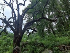 -北京密云天门山风景区