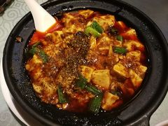 -陈麻婆豆腐总店